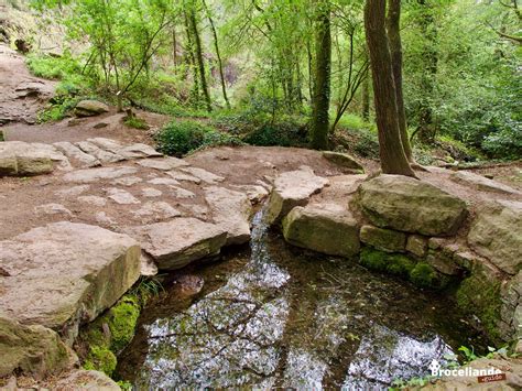 De La Fontaine de Jouvence - Een Mysterieuze Ode aan Vergane Glorie en Het Onmogelijke!